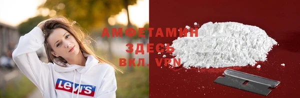 твердый Няндома